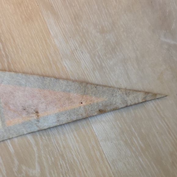 Samson Monster Truck Signed Pennant – Patrick Racing Team Autographs 2009 - Picture 5 of 7